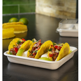 Behälter aus Zuckerrohr für Tacos Weiß 18,5x18,5cm (50 Stück)