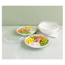 Schüssel Zuckerrohr Bagasse Noodle Weiß 470ml (50 Stück)