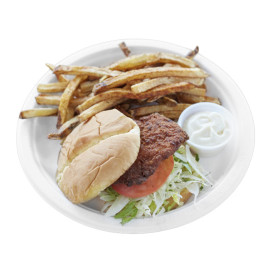 Teller Zuckerrohr-Fasern Bagasse Weiß Ø25,3 cm (500 Stück)