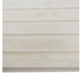 Tablett Zuckerrohr 460x300mm (100 Stück)