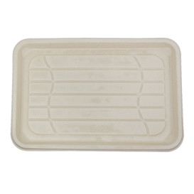 Tablett Zuckerrohr 460x300mm (100 Stück)