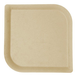 Teller Bagasse und Bambus 23,8 cm (400 Stück)