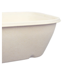 Schüssel Zuckerrohr-Fasern 1000ml 170x170x70mm (50 Stück)