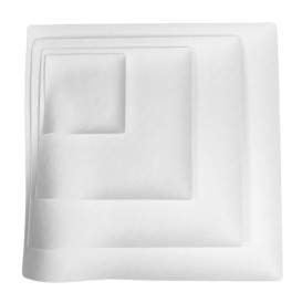 Wasara Teller Bio "Kaku XL" 246x246 mm (100 Stück)