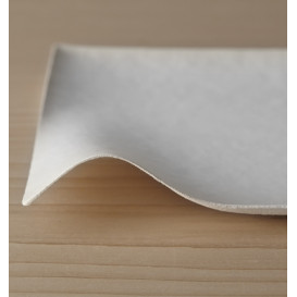 Wasara Teller Bio "Kaku XL" 246x246 mm (100 Stück)