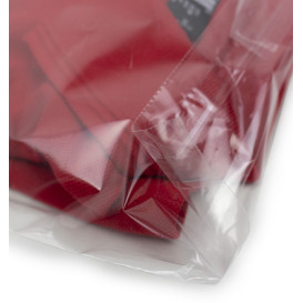Beutel CPP mit Haftklebeverschluss  30x40cm G160 (1000 Stück)