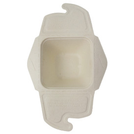 Box to Go Zuckerrohr 13x13x7cm 500ml. (150 Stück)
