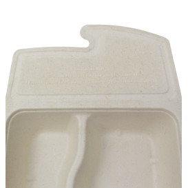 Box to Go Zuckerrohr 2C 21x15x5cm 800ml (200 Stück)