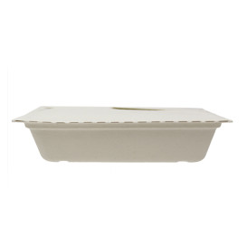 Box to Go Zuckerrohr 21x21x4cm 1350ml (50 Stück)