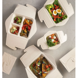 Box to Go Zuckerrohr 13x13x7cm 500ml. (300 Stück)
