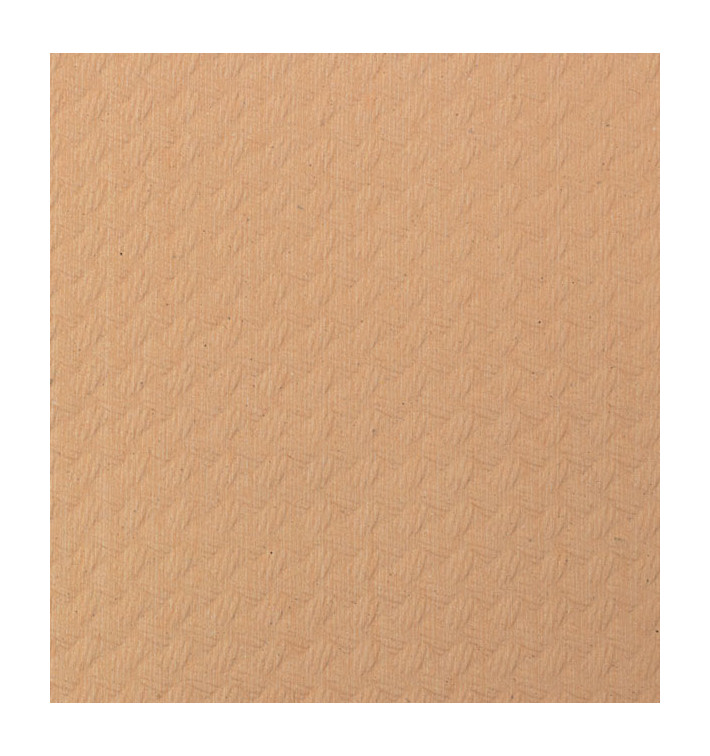 Papiertischdecke Rolle Lachsfarben 1x100m 40g (1 Stück) Papiertischdecke Rolle Lachsfarben 1x100m 40g (1 Stück)