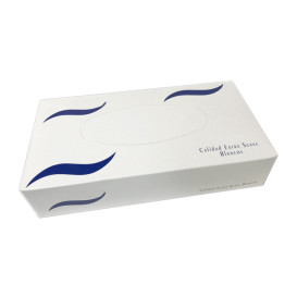 Kosmetiktücher 2 Lagig Box 100 Stück (1 Box)