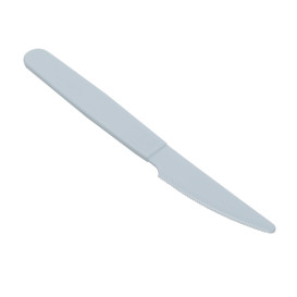 Mehrweg Durable Messer aus PP Mineral Blau 18,5cm (180 Stück)