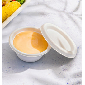 Soβenbecher aus Zuckerrohr Bagasse Weiß 60ml (50 Stück)