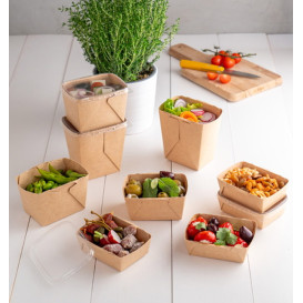 Salatschüssel Deli2Go aus Kraftpapier 500ml 10,8x8,2x10,5cm (50 Stück)