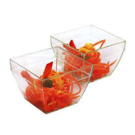 Fingerfood Schale quadrat PS 5,5x3,3x4cm 75ml (200 Stück)