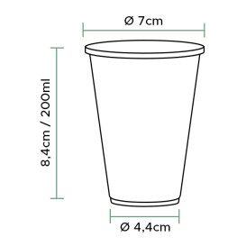 Plastikbecher Transparent  PP 200ml (3000 Stück)