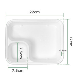Zuckerrohrschale Kraft 17x5x3,5cm (1.000 Stück)
