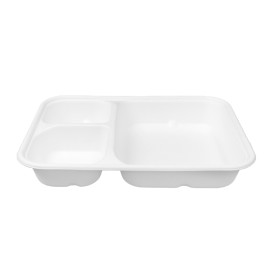 Zuckerrohrschale Kraft 17x5,5x3,8cm (25 Stück)