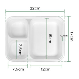 Zuckerrohrschale Kraft 17x5,5x3,8cm (25 Stück)