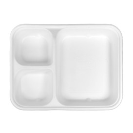 Zuckerrohrschale Kraft 17x5,5x3,8cm (25 Stück)