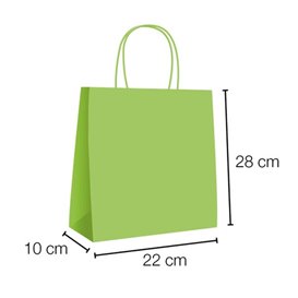 Papiertüten Anis mit Henkeln 90g/m² 28+10x22 cm (250 Stück)