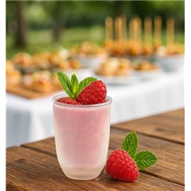 Degustationsglas PS Transparentes 48ml (10 Stück)