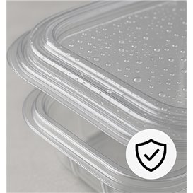 Transparente Dose mit Klappdeckel Viereckig PET 250ml (100 Stück)