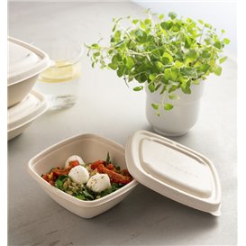 Deckel aus Zuckerrohr für Schüssel 13x13cm (50 Stück)