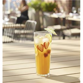 Wiederverwendbares Durable Glas ''Torino'' SAN 420ml (1 Stück)